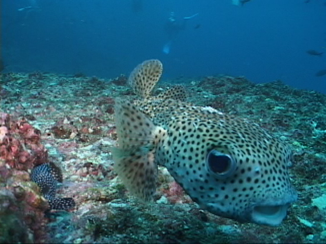 DSC00076.JPG